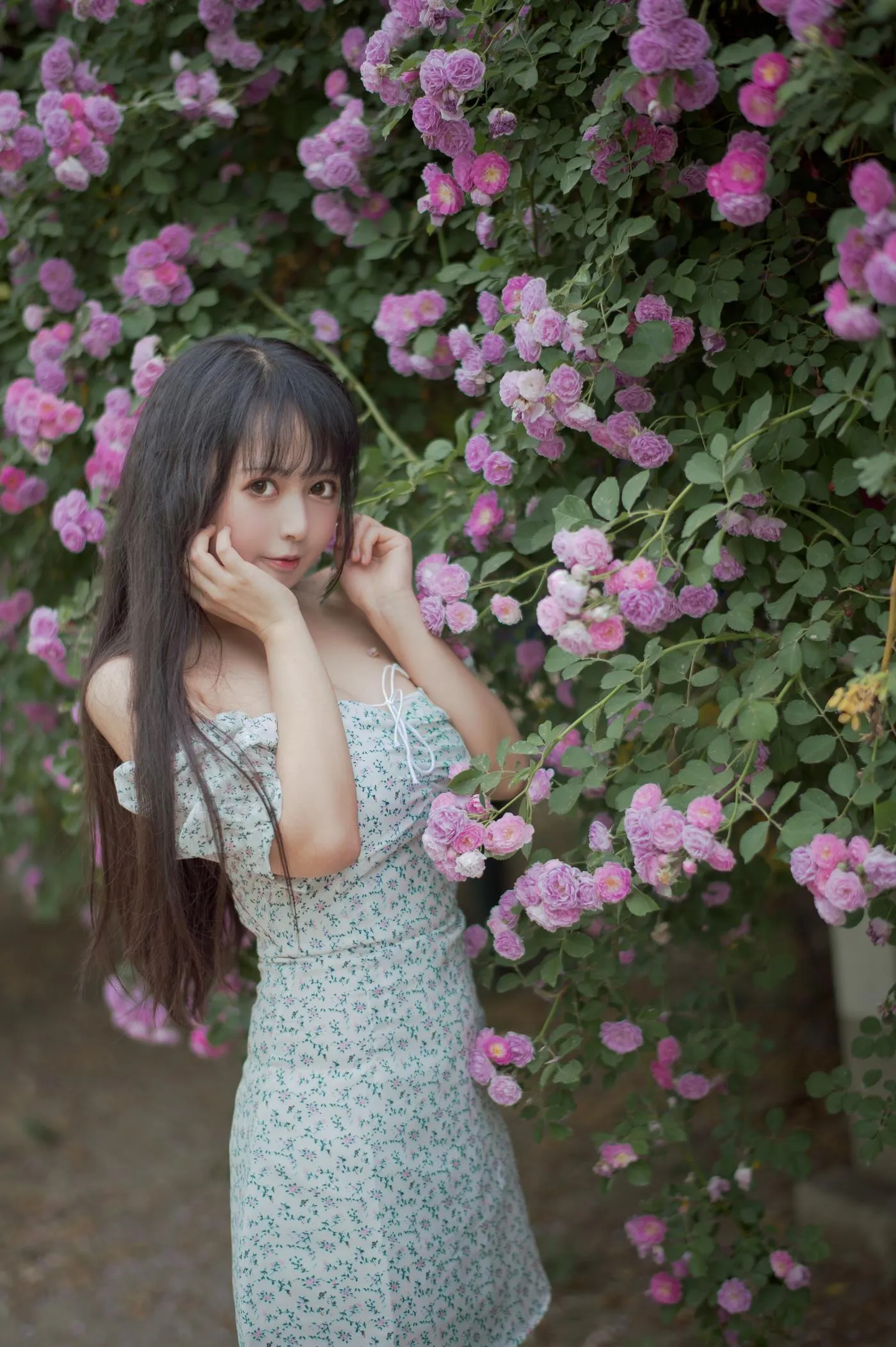 黑猫猫OvO – NO.23 蔷薇2 [27P]插图8